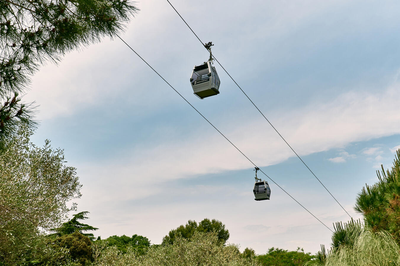 Teleferic